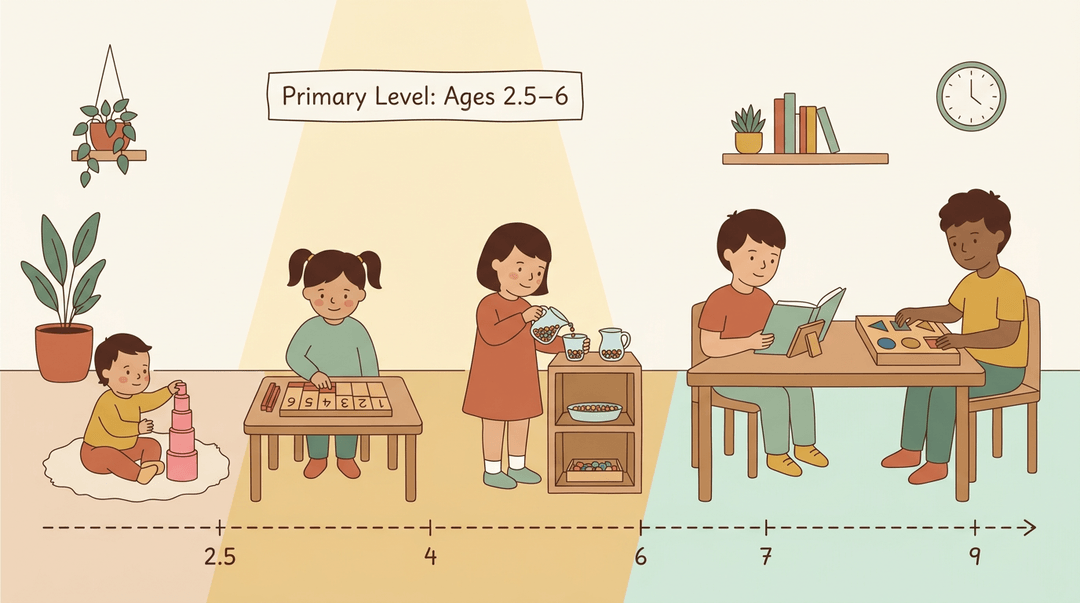 Timeline showing Montessori growth from toddler stacking blocks to older children using geometry, highlighting the primary ages 2.5-6.