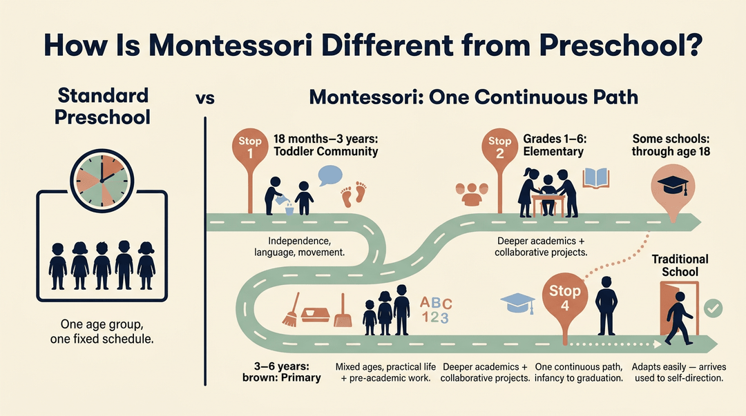 Infographic comparing standard preschool's fixed schedule to Montessori's continuous mixed-age path from toddlerhood through graduation.