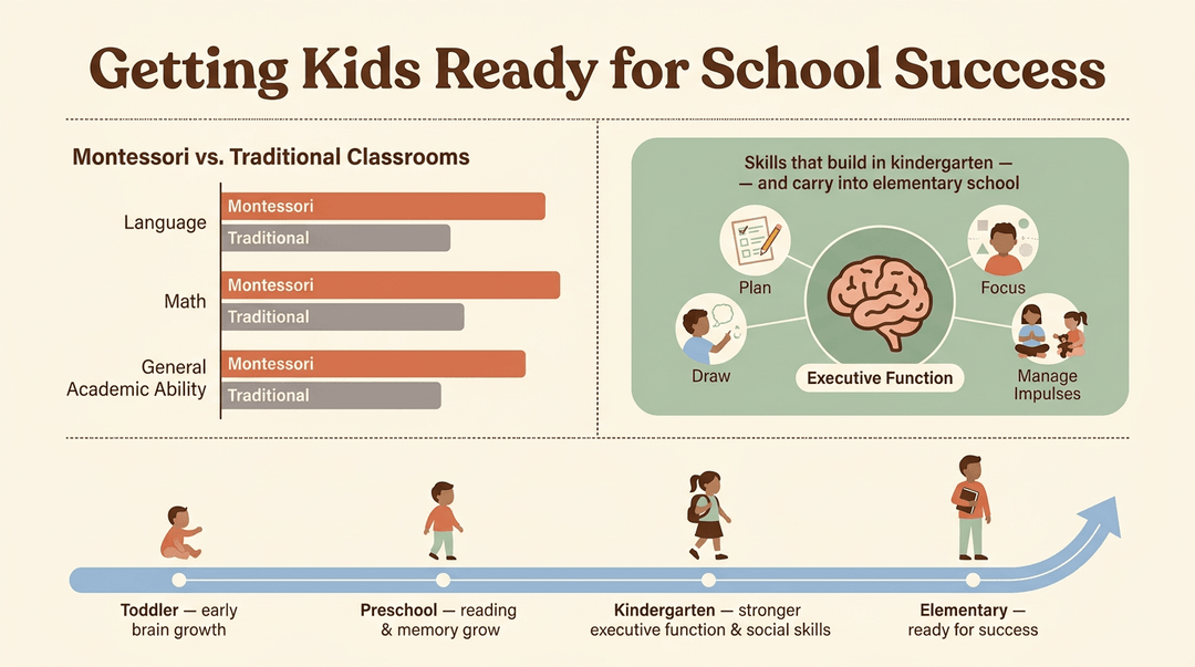 Infographic comparing Montessori and traditional classrooms, highlighting executive function skills and developmental milestones from toddler to elementary school.