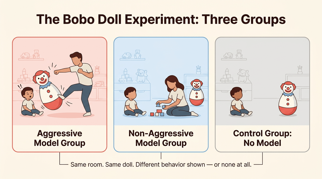Three panels illustrate the Bobo Doll experiment: aggressive model, non-aggressive model, and control groups with children.