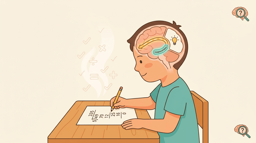 Student calmly solving math with a diagram showing brain pathways and freed working memory.