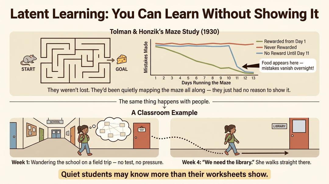 Infographic explaining latent learning using Tolman's maze study and a classroom example to show how students learn without immediate demonstration.