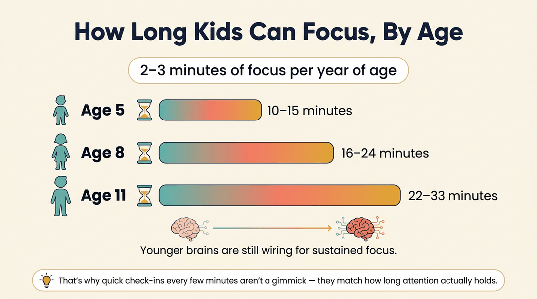 Infographic showing average focus times by age: 10-15 mins at age 5, 16-24 at age 8, and 22-33 at age 11.